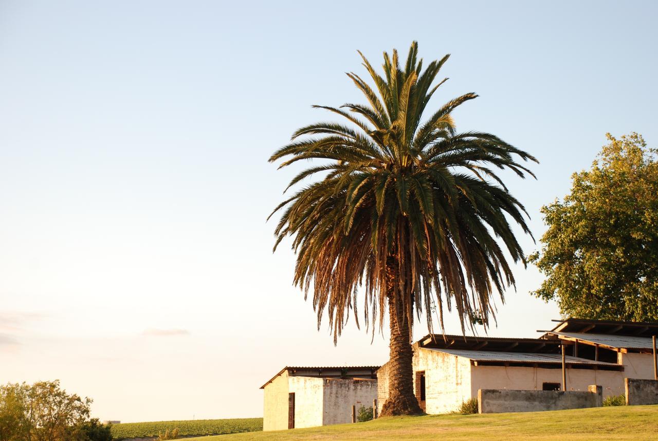 Dirtopia Trail Lodge Stellenbosch Zewnętrze zdjęcie